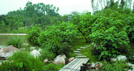 河南园林绿化