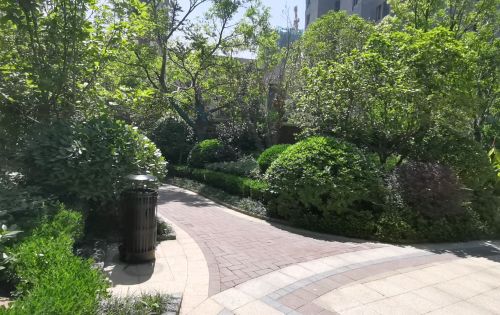金地保利褐石公馆动态 小区园林绿化,预约参观点头像微聊 武汉安居客